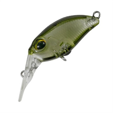 クーガ　ＦＭＲ